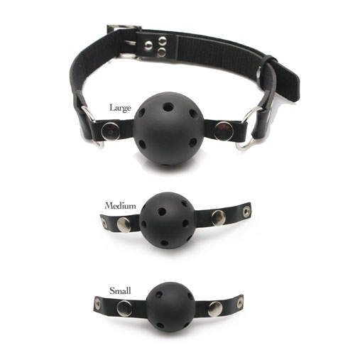 The Fetish Fantasy Series Ball Gag Training System from Forbidden Passion