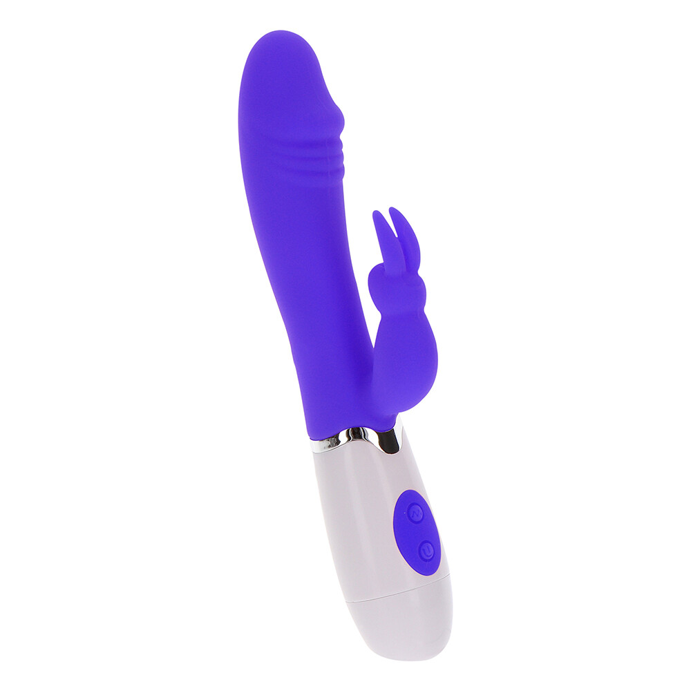 The ToyJoy Funky Rabbit Vibrator Purple from Forbidden Passion
