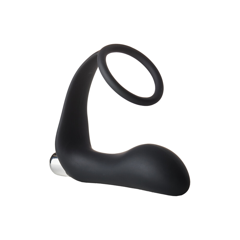 The Fantasstic Vibrating Anal Plug With Cock Ring from Forbidden Passion
