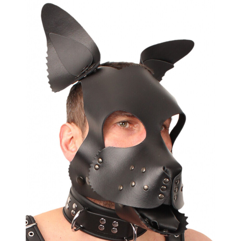 The The Red Leather Puppy Dog Mask from Forbidden Passion