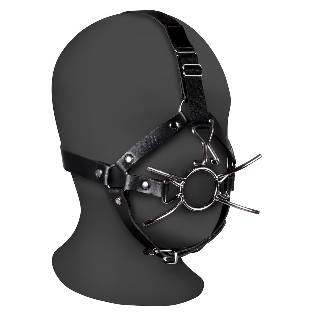 The Ouch Xtreme Head Harness With Spider Gag And Nose Hooks from Forbidden Passion