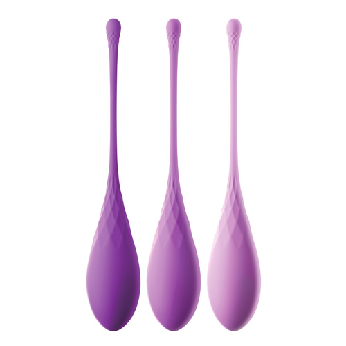 The Fantasy For Her Kegel TrainHer Set from Forbidden Passion