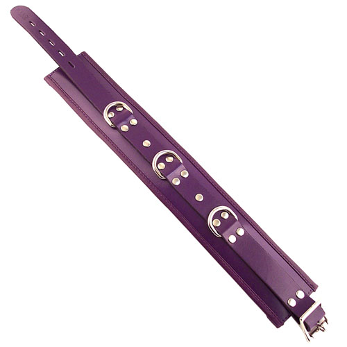 The Rouge Garments Purple Padded Collar from Forbidden Passion