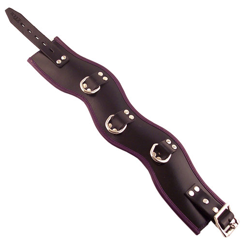 The Rouge Garments Black And Purple Padded Posture Collar from Forbidden Passion