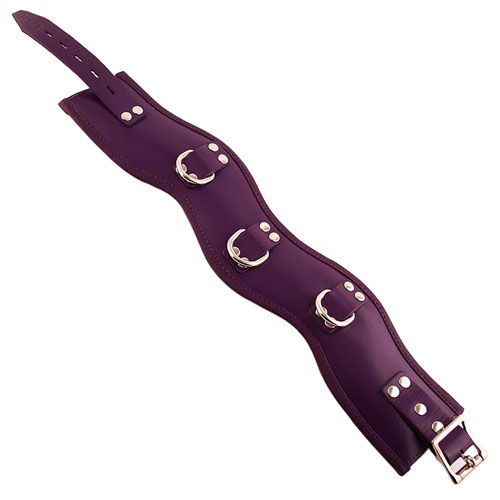 The Rouge Garments Purple Padded Posture Collar from Forbidden Passion
