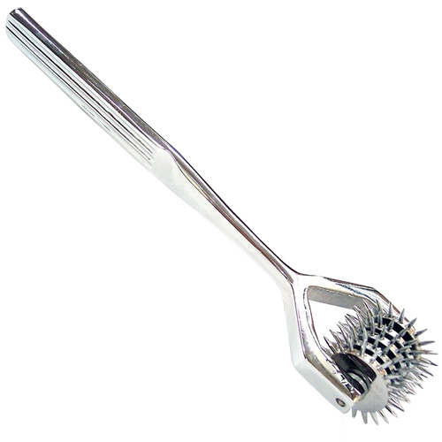 The Rouge Stainless Steel 5 Wheel Pin Wheel from Forbidden Passion