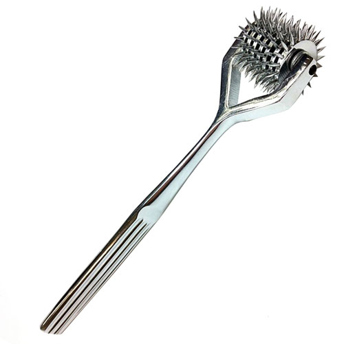 The Rouge Stainless Steel 7 Wheel Pin Wheel from Forbidden Passion