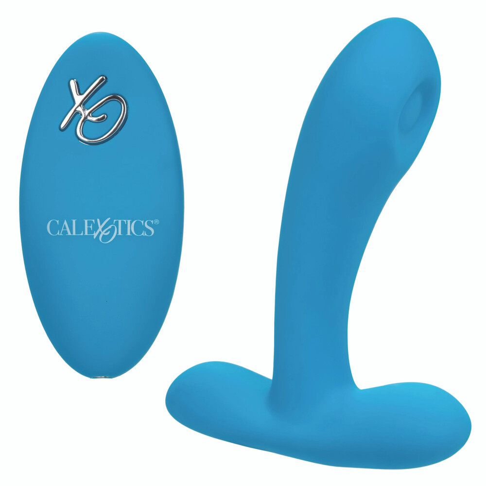 The Remote Controlled Pulsing Pleaser Vibrator from Forbidden Passion