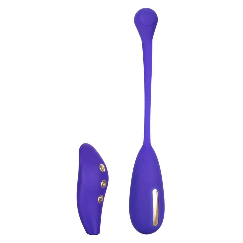 The Impulse Intimate Estim Remote Kegel Exerciser from Forbidden Passion