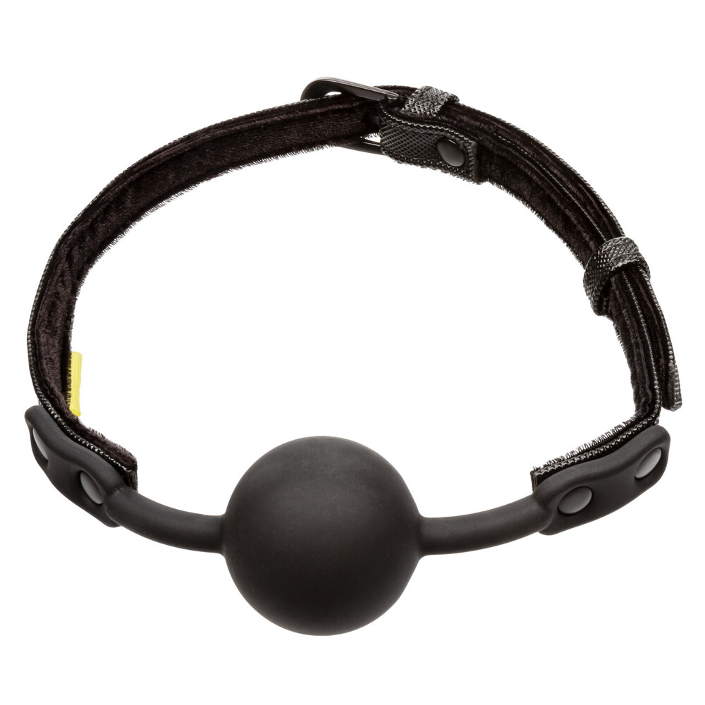 The Boundless Ball Gag from Forbidden Passion