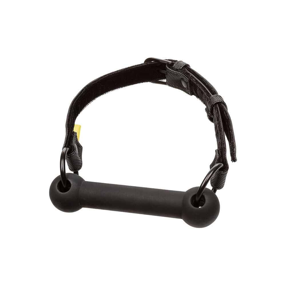 The Boundless Bar Gag from Forbidden Passion