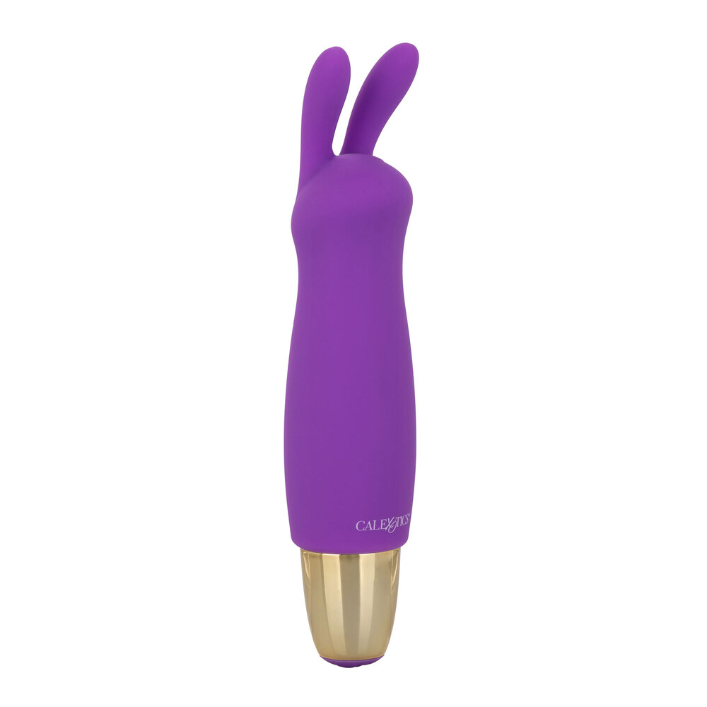 The Slay Buzz Me Mini Rabbit Clitoral Massager from Forbidden Passion