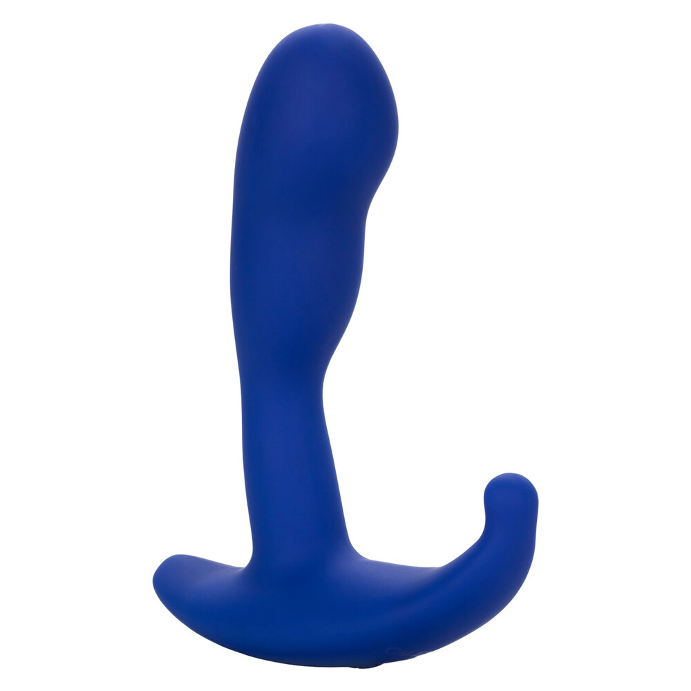 The Admiral Advanced Curved Probe from Forbidden Passion