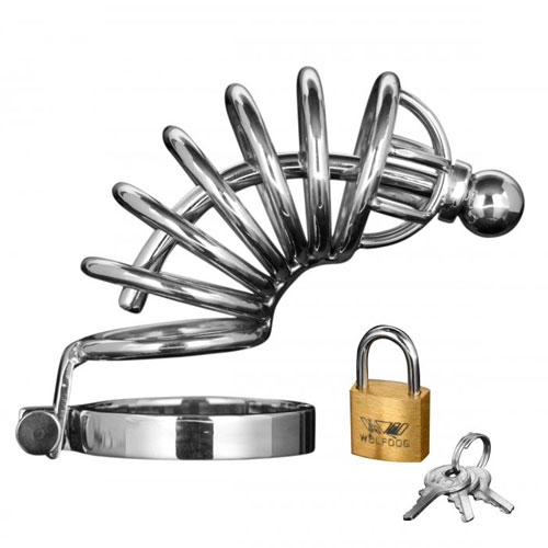 The Master Series Asylum 6 Ring Locking Chastity Cage from Forbidden Passion